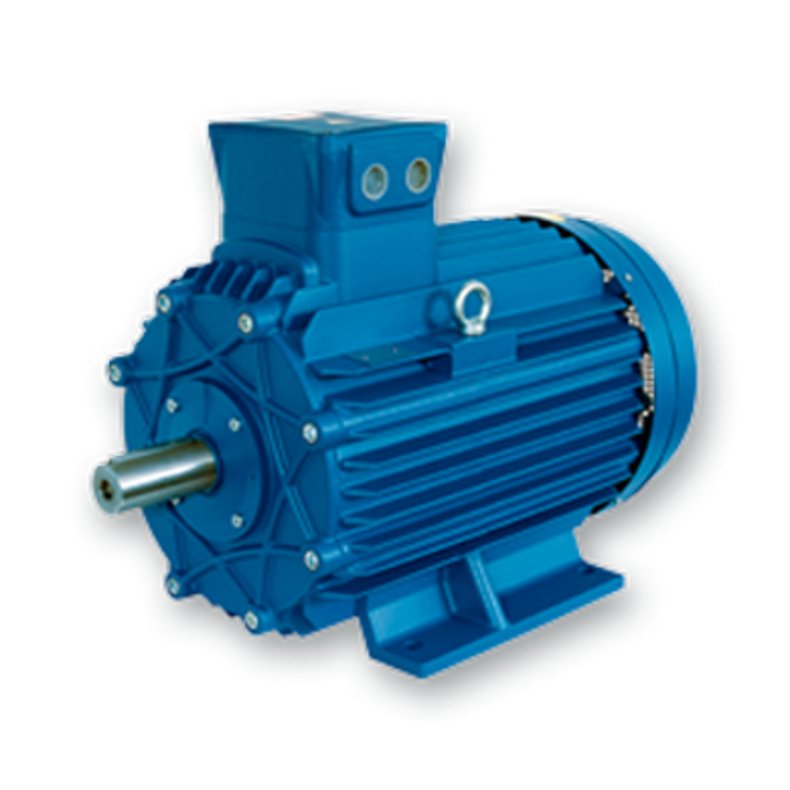 CEMP Motor Explosion Proof - Italy - 3
